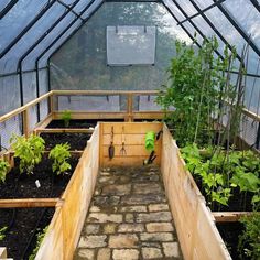 a small greenhouse with several plants growing in it