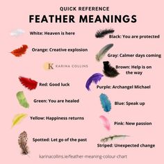 a pink background with different colored feathers on it and the words, quick reference feather meaningss