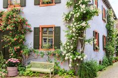 a bench sitting in front of a building with flowers growing on the side of it