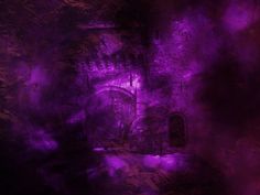 an artistic photo of a purple light in the dark with trees and bushes around it