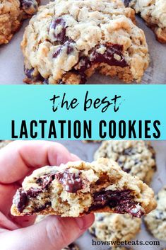 Best Lactation Cookies, Breastfeeding Cookies, Lactation Cookies Recipe, Breastfeeding Snacks, Breastfeeding Foods, Lactation Recipes, Lactation Cookies, Cookies Recipe, Freezer Meals