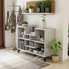 a living room filled with furniture and potted plants on top of shelves next to a door