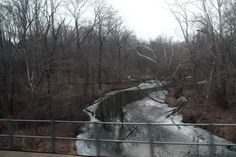 a river running through a forest filled with trees