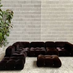 a large brown couch sitting on top of a floor next to a potted plant