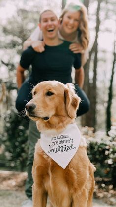 a man and woman standing next to a brown dog