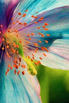 the inside of a blue flower with yellow stamens on it's petals