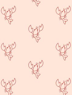 the outlines of lobsters are drawn in red on a light pink wallpaper