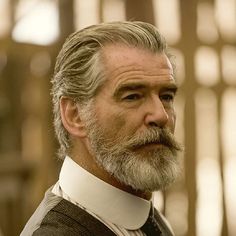 Pierce Brosnan Beard, Old Man With Beard, Moustaches Men, Beard Shapes, Grey Hair Men, Mustache Men, 얼굴 드로잉, Handsome Older Men