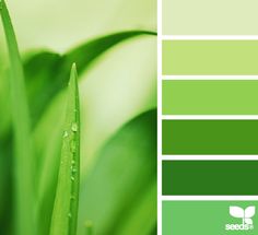 a green color scheme with grass and water drops