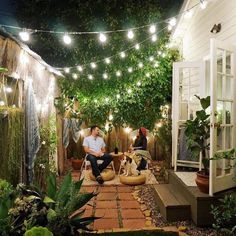 two people sitting on chairs in the middle of an outdoor area with lights strung over them