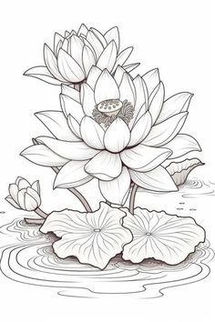 a drawing of a lotus flower in the water with lily pads on it's side