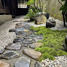 a stone path with moss growing on it