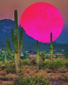 the sun is setting over a desert with cactus trees and mountains in the foreground