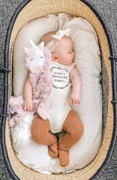 a baby sleeping in a basket with a stuffed animal