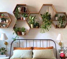 a bed topped with lots of plants next to a wall mounted shelf