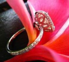 a diamond ring sitting on top of a pink flower with red petals in the background