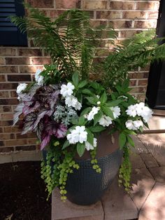 a potted plant with white and purple flowers in front of a brick wall on a patio