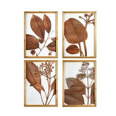 three framed pictures with leaves and flowers in them