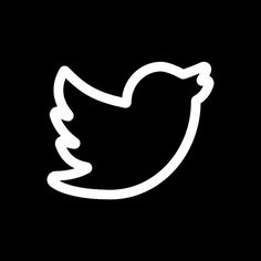 a black and white image of a bird on a dark background with the word twitter below it