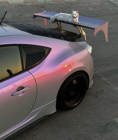 a dog is sitting on the roof of a car with its surfboard strapped to it