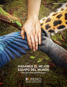 a hand reaching out to an animal in the forest