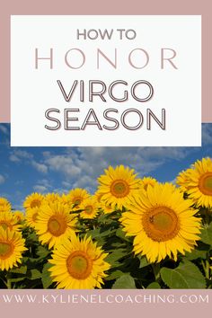 sunflowers with the words how to honor virgo season in front of them