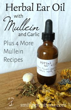 Antibiotics aren't usually needed for ear infections. Ear drops help relieve pain so that the infection can heal on its own. These herbal ear drops help relieve pain and inflammation. So easy to make, too! Herbal Ear Oil Recipe with Mullein Flower and Garlic Mullein Flower, Ear Oil, Tinctures Recipes, Ear Infections, Essential Oils Herbs, Herbal Tinctures