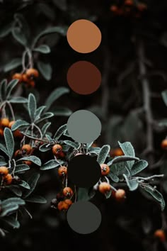 the color palette is brown, black, and white with some oranges on it