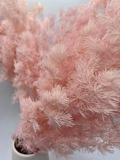 some pink flowers in a white vase on a table