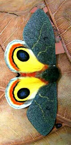 a yellow and black butterfly sitting on top of a leaf