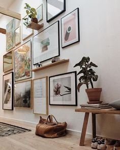 there are many framed pictures on the wall and shoes in front of them, along with a potted plant