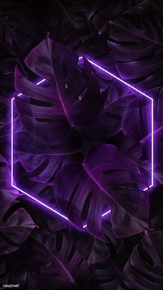 a purple neon frame surrounded by leaves