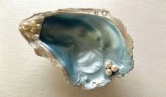 an oyster shell with pearls on it