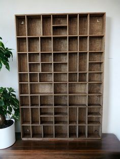 a wooden shelf with several compartments on it and a potted plant next to it