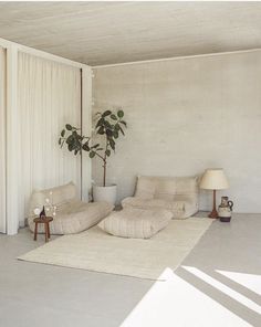 a living room filled with furniture and a potted plant