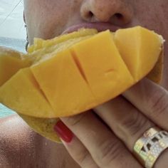 a close up of a person eating a piece of cheese on a beach with the ocean in the background