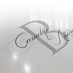 some type of logo that is on a white background with black lettering and the words camelella & jones