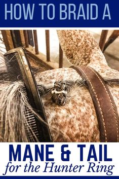 the cover of how to braid a mane and tail for the hunter ring