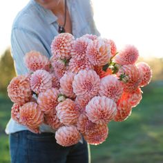 a woman holding pink flowers in her hands