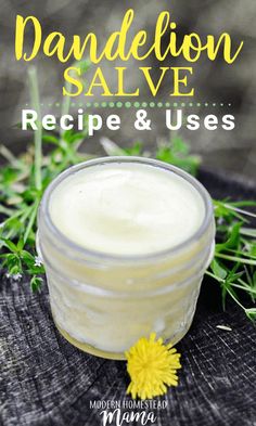 Goot Recipe, Garlic Salve, Dandelion Oil, Dandelion Benefits, Modern Homestead, Healing Salves