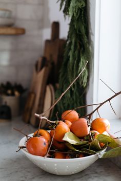 a white bowl filled with oranges on top of a counter