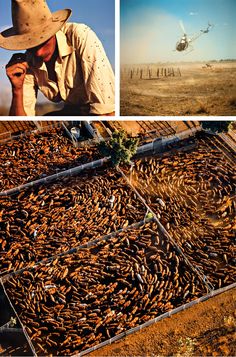 1980s Photos, Rural Photography, Farm Photography, Outback Australia, Aerial Images, Cattle Ranching, Cattle Farming, Country Lifestyle, Ranch Life