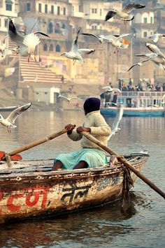 a man in a boat surrounded by seagulls flying over the water and buildings