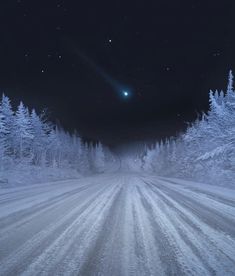 a snowy road at night with the moon in the sky and trees on both sides