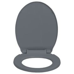 This premium toilet seat, which is suitable for all standard toilet bowls, will be ideal for family homes, restaurant, department stores and hotels. Made of strong polypropylene, the seat is highly stable and durable. The seat has a soft-close function, which means it closes slowly and quietly. It has quick-release mechanism so the seat can be removed easily as needed. The seat is easy to clean and quick to install with top mount hinges and corrosion free hardware.Color: GrayMaterial: PolypropyleneOverall size: 18.1" x 13.4" (L x W)Shape: OvalWidth between the two hinges: 4.3"-6.7" (adjustable)Mounting hole diameter: 0.6"Suitable for all regular toilet bowlsScratch-resistant surfaceWith a soft-close functionQuick-release hinge mechanismWith a rubber pad on the backAssembly required: YesNot Toilet Chair, Fireplace Fan, Green Oval, Toilet Bowls, Home Hardware, Toilet Seat, Tampon, Quick Release, Department Store