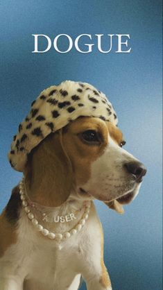 a dog with a hat on it's head and the words doggie written in white