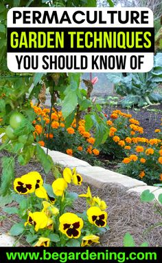 the words permaculture garden techniques you should know of in front of some flowers