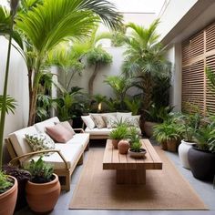 a living room filled with lots of potted plants next to a wooden coffee table