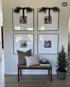 three framed pictures hang on the wall above a bench with pillows and a potted plant