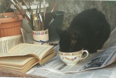 a black cat drinking out of a coffee cup on top of a newspaper next to a potted plant